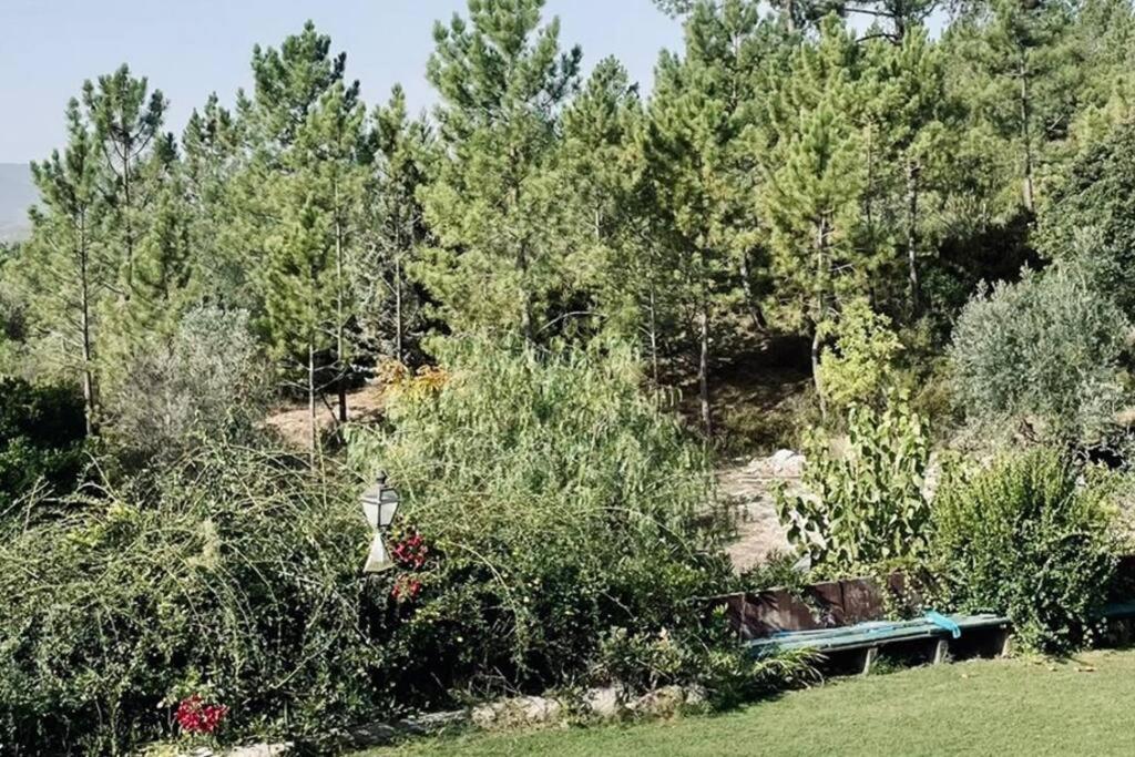 Moradia Na Serra Alcanede Zewnętrze zdjęcie